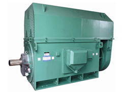 YR6303-4Y系列6KV高压电机