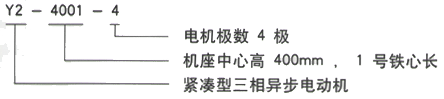 YR系列(H355-1000)高压YR6303-4三相异步电机西安西玛电机型号说明